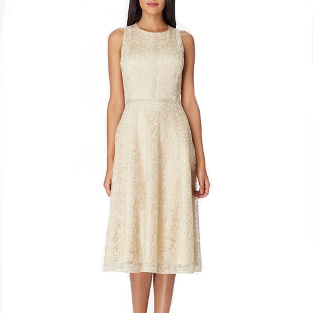 TAHARI Women's Gold Lace Midi Fit & Flare Formal Dress